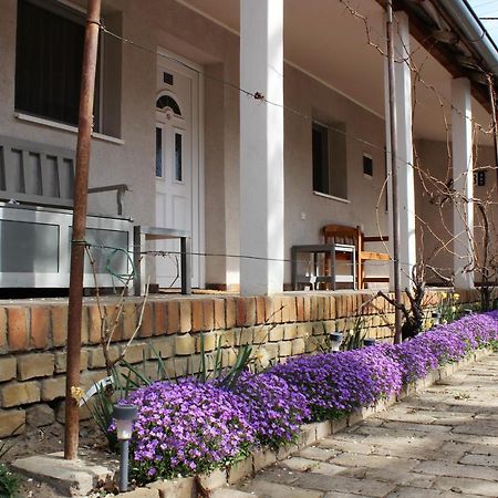 Pacir Julia Apartman מראה חיצוני תמונה