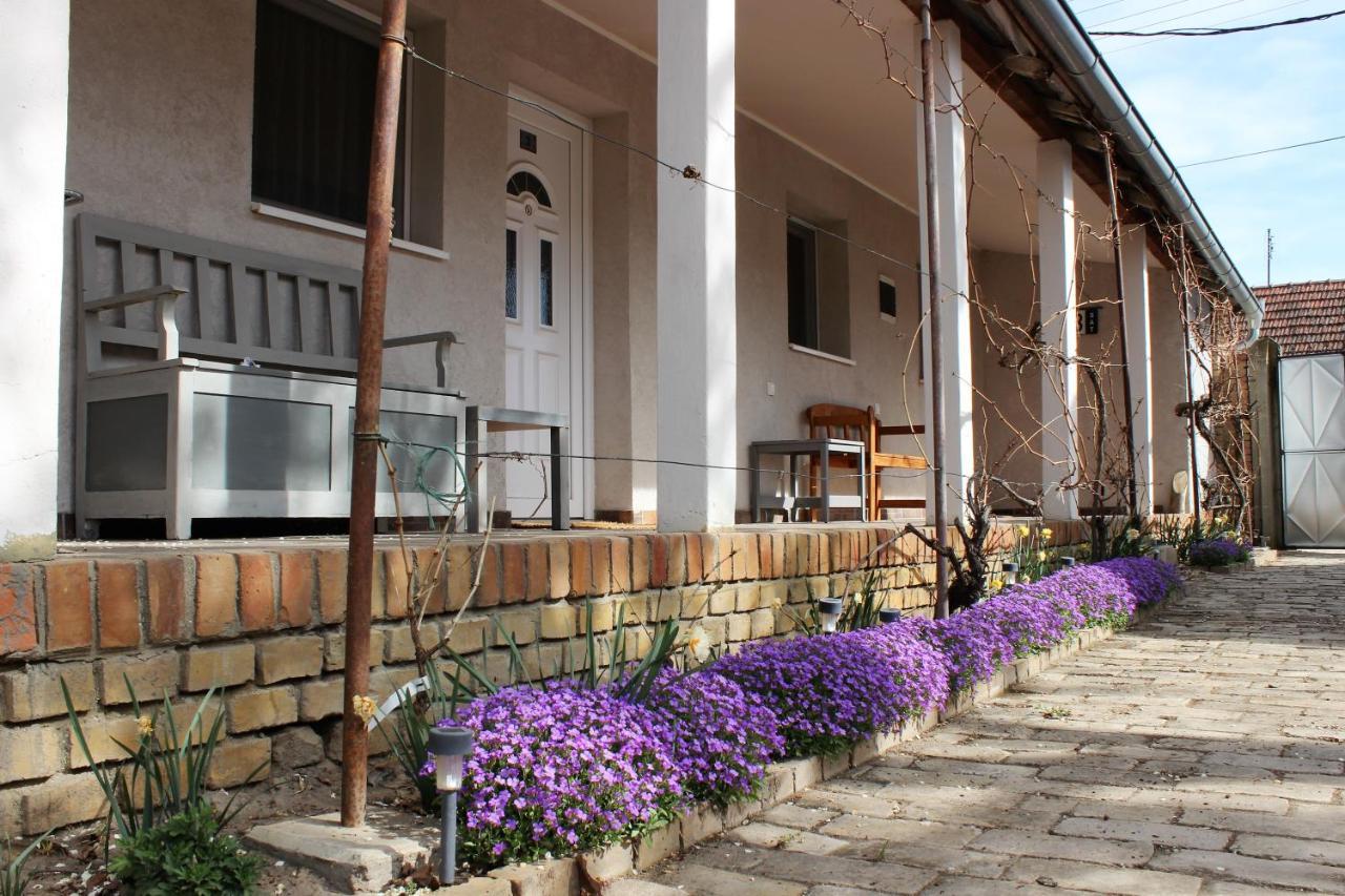 Pacir Julia Apartman מראה חיצוני תמונה