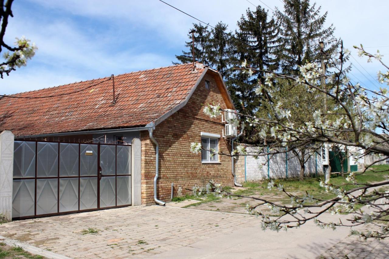 Pacir Julia Apartman מראה חיצוני תמונה